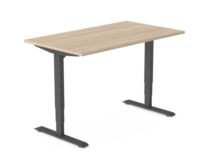 Zit-sta bureau elektrisch Flexframe